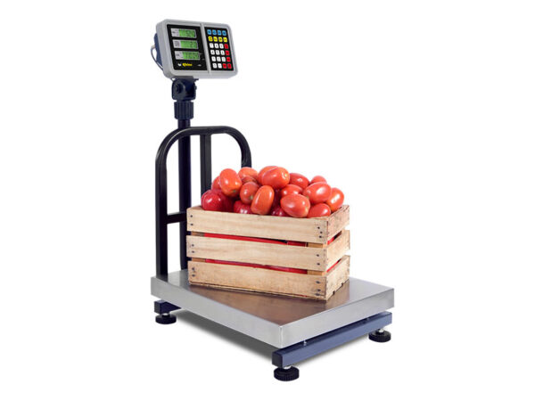 I-PEP - Image 2