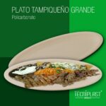 Plato Tampiqueño Grande PC