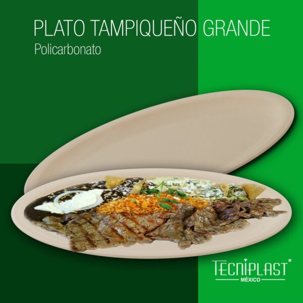 Plato Tampiqueño Grande PC