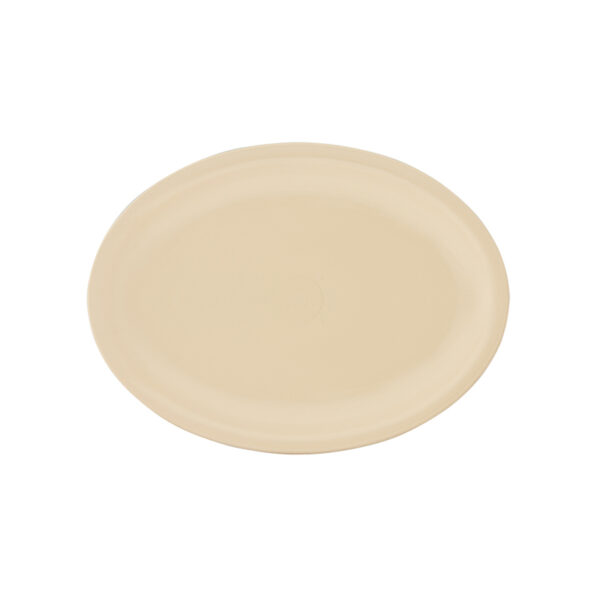 Plato Tampiqueño Mediano